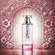 Perfume New Brand Oriental Nour - Eau de Parfum