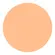 Shiseido UV Protective Compact Foundation SPF30 - Protetor Solar Facial Compacto (Refil)