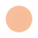 Shiseido UV Protective Compact Foundation SPF30 - Protetor Solar Facial Compacto (Refil)