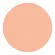 Shiseido UV Protective Compact Foundation SPF30 - Protetor Solar Facial Compacto (Refil)