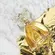 Perfume Marina de Bourbon Majestic Style Eau de Parfum Feminino