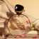 Perfume Joli Joli Lumière Écarlate - Eau de Parfum Feminino