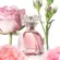 Perfume Marina de Bourbon Romantic Style - Eau de Parfum Feminino