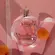 Perfume Royal Opera Velvet Whisper - Eau de Parfum Feminino
