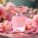 Perfume Assala Nasma Rose Blossom - Eau de Parfum