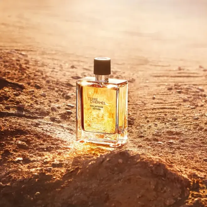 HERMÈS TERRE D'HERMÈS VETIVER EDP 100ML -
