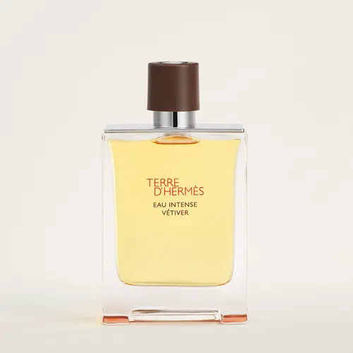 HERMÈS TERRE D'HERMÈS VETIVER EDP 100ML -