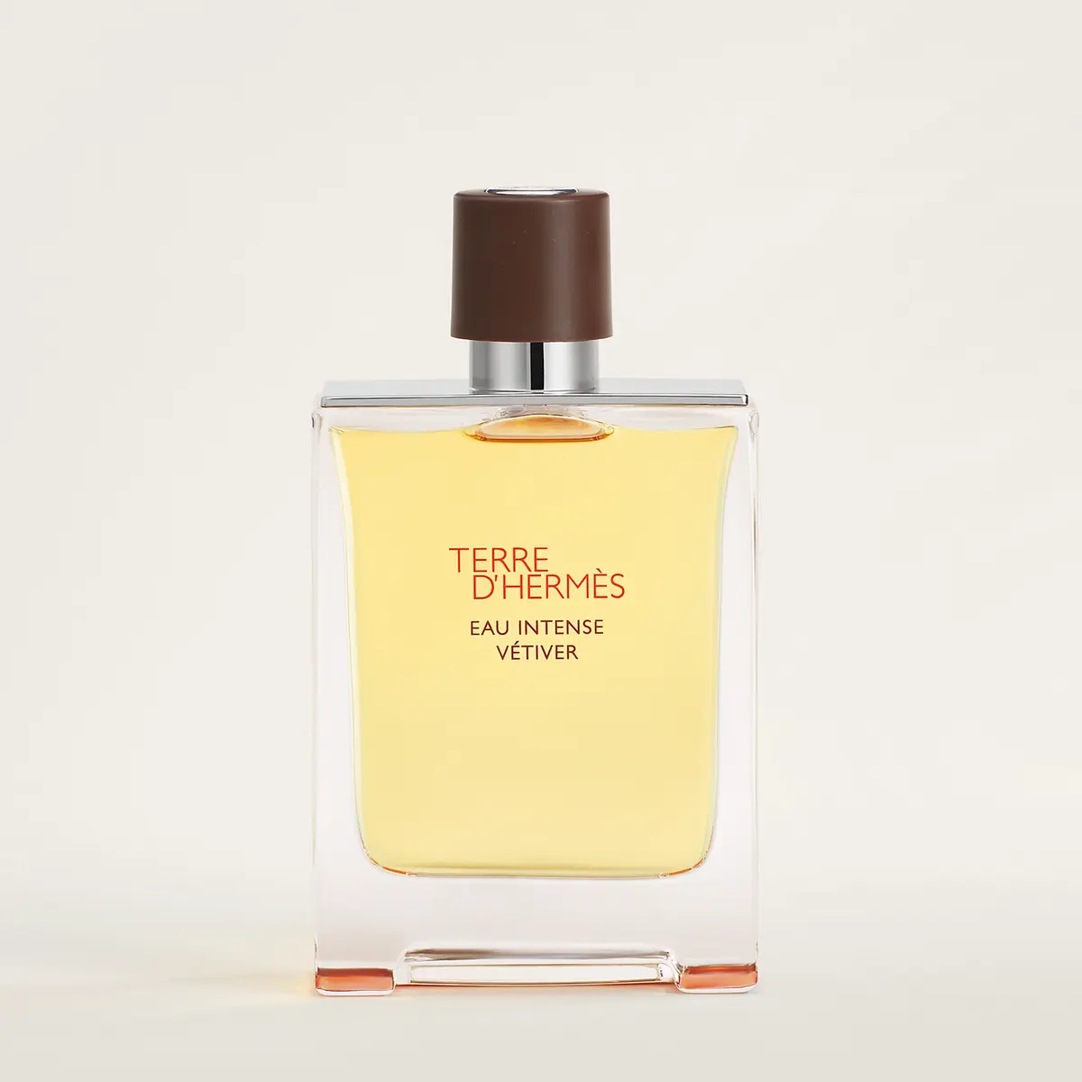 HERMÈS TERRE D'HERMÈS VETIVER EDP 100ML -