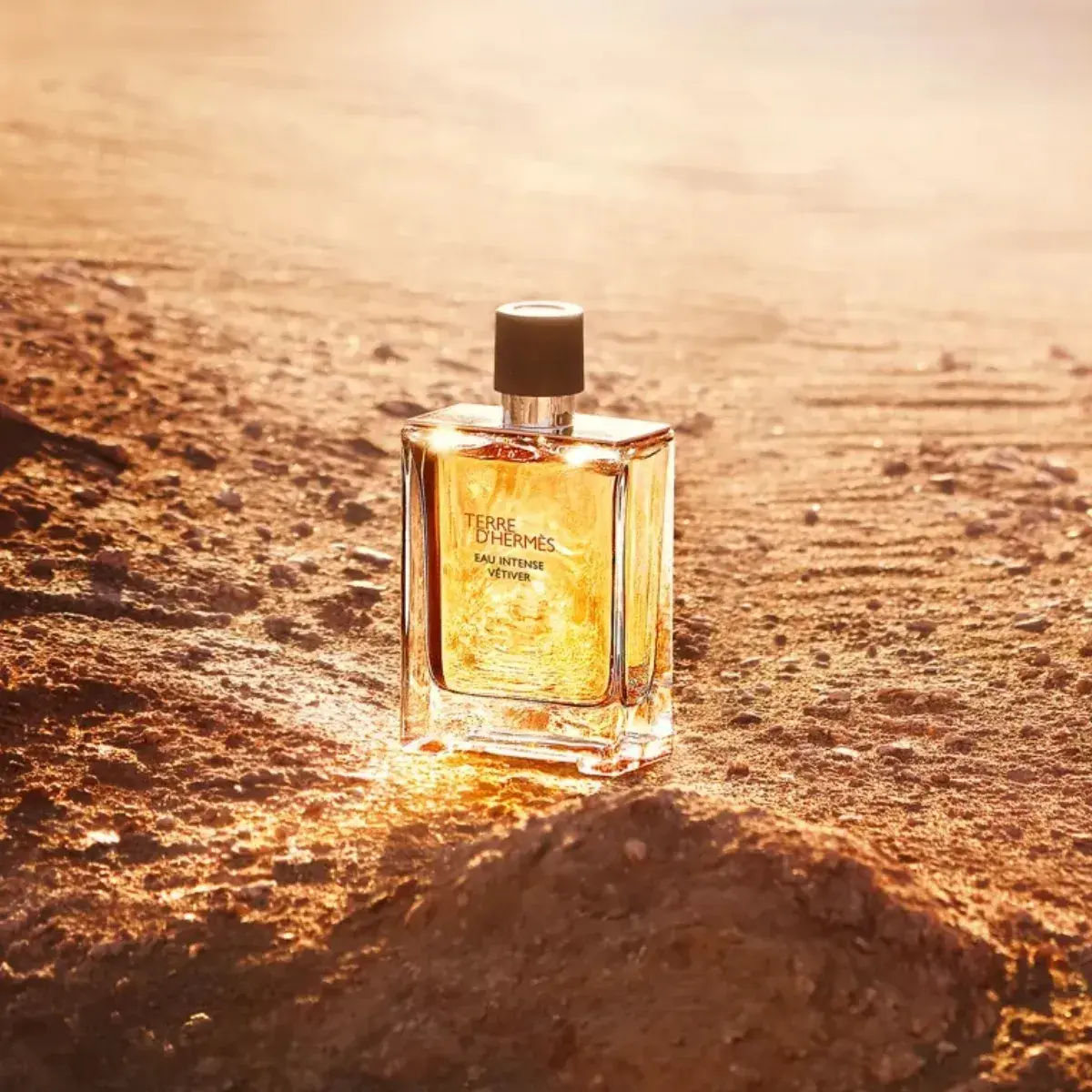 39640_hermes-terre-d-hermes-
