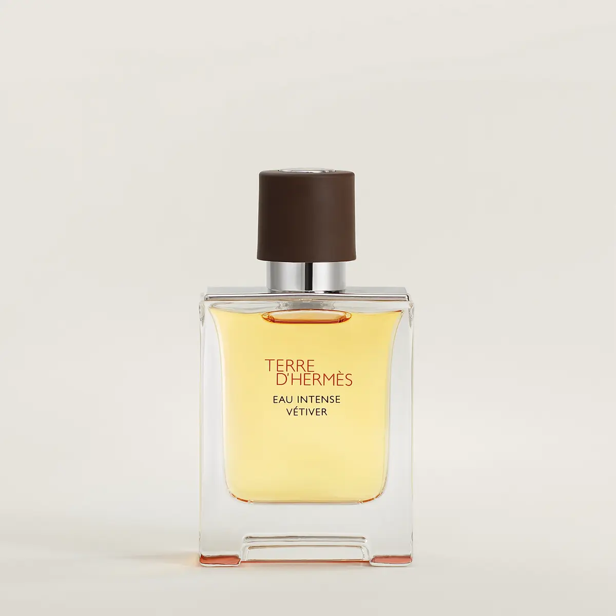 【PP未開封】HERMÈS TERRE D'HERMÈS オードトワレ100ml Perfume Terre D'hermès Eau De Toilette Masculino Paris 100ml