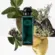 Perfume Hermès Eau D'orange Verte - Eau de Cologne