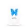 Perfume Franck Olivier Miss - Eau de Parfum Feminino