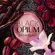 Perfume Yves Saint Laurent Black Opium - Eau de Parfum Feminino