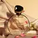 Perfume Joli Lumière Écarlate - Eau de Parfum Feminino