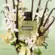 Perfume Valentino Donna Green Stravaganza - Eau de Parfum Feminino