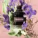 Perfume Valentino Uomo Born In Roma - Eau de Toilette Masculino