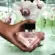 Perfume Prada Paradoxe Virtual Flower - Eau de Parfum Feminino