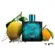Perfume Versace Eros - Parfum Masculino
