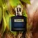 Perfume Jean Paul Gaultier Scandal Intense - Eau de Parfum Intense Masculino