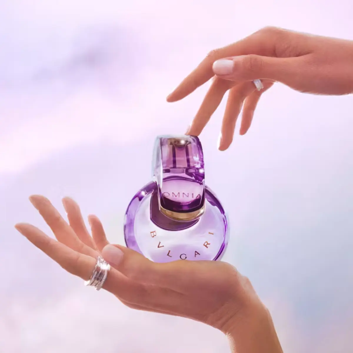 Perfume Bvlgari Omnia Amethyste - Eau de Toilette Feminino -