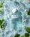 Perfume Rochas Eau de Rochas Neroli Azur - Eau de Toilette Feminino