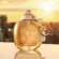 Perfume Coach New York Gold - Parfum Feminino