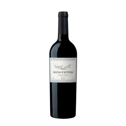 Vinho Tinto Quinta de Bons Ventos Douro 750ml