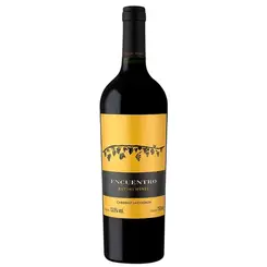 Vinho Tinto Rutini Encuentro Carbernet Sauvigno 750ml
