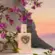Perfume Dolce & Gabbana My Devotion - Eau de Parfum Intense Feminino