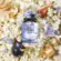Perfume Dolce & Gabbana Dolce Blue Jasmine - Eau de Parfum Feminino