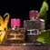 Perfume Carolina Herrera CH Wild Love Edição Limitada - Eau de Parfum Feminino