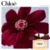 Perfume Chloé Le Parfum - Parfum Feminino