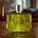 Perfume Gucci Guilty Elixir de Parfum Pour Homme - Parfum Masculino