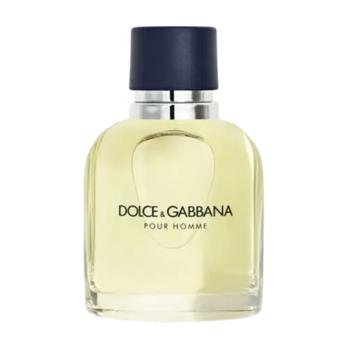 Perfume Dolce & Gabbana Pour Homme - Eau de Toilette Masculino